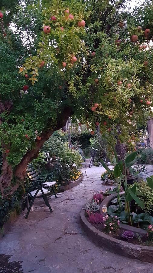 B&B Al Gazebo Verona Kültér fotó